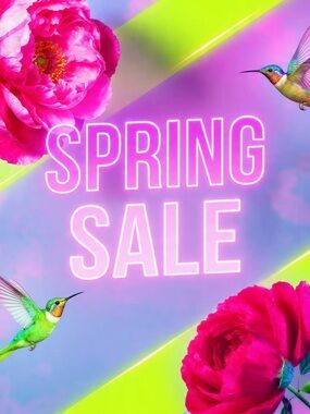 Women's Casual & Dress Deals🎉
